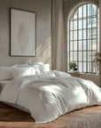 VENEZIA SET H.COUETTE 260X240 + 2 TO 63X63 - 006 PIGEON