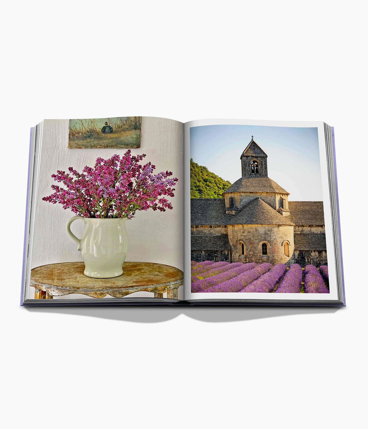 PROVENCE GLORY
