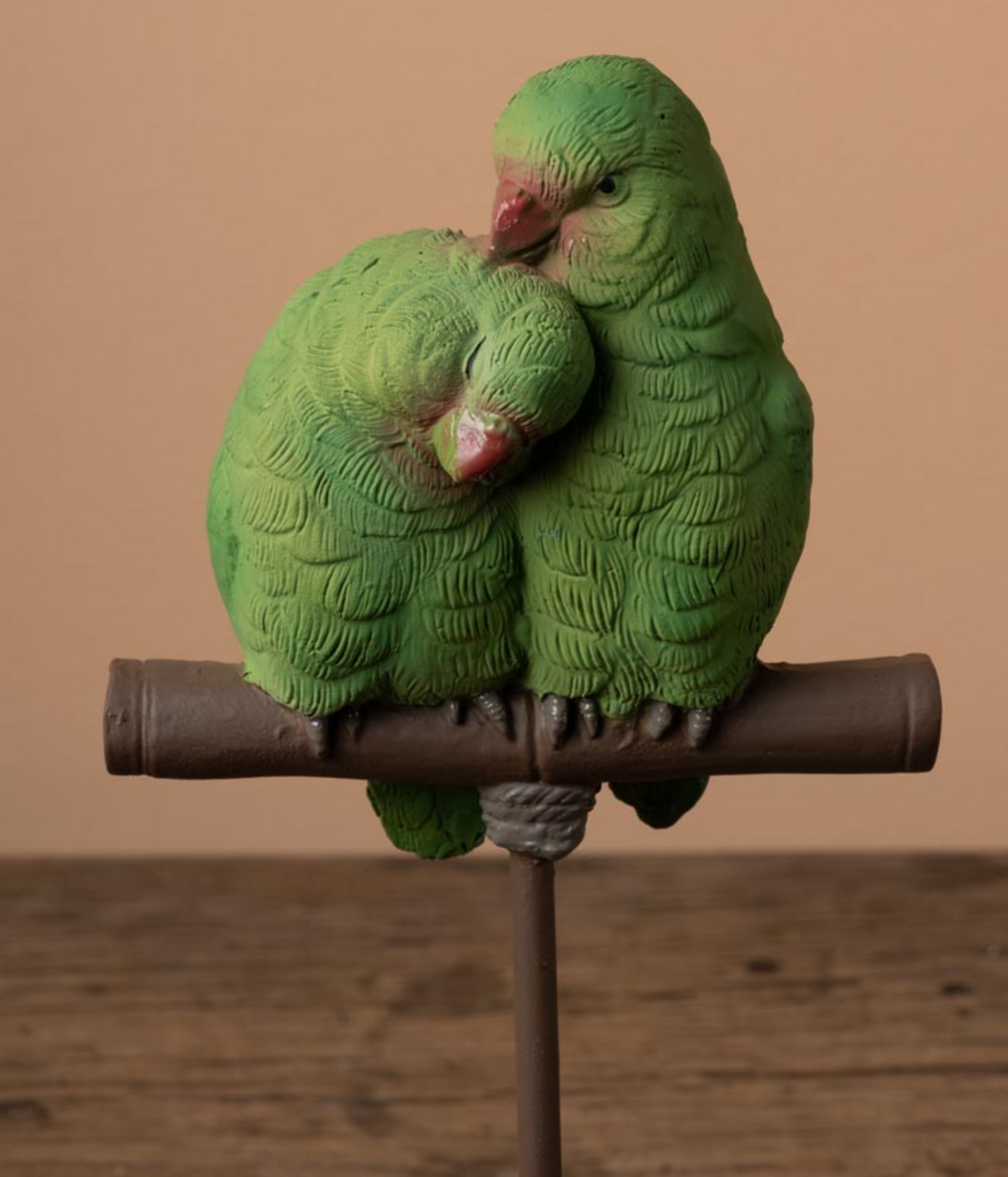 Piones à bec rouge sur petit perchoir