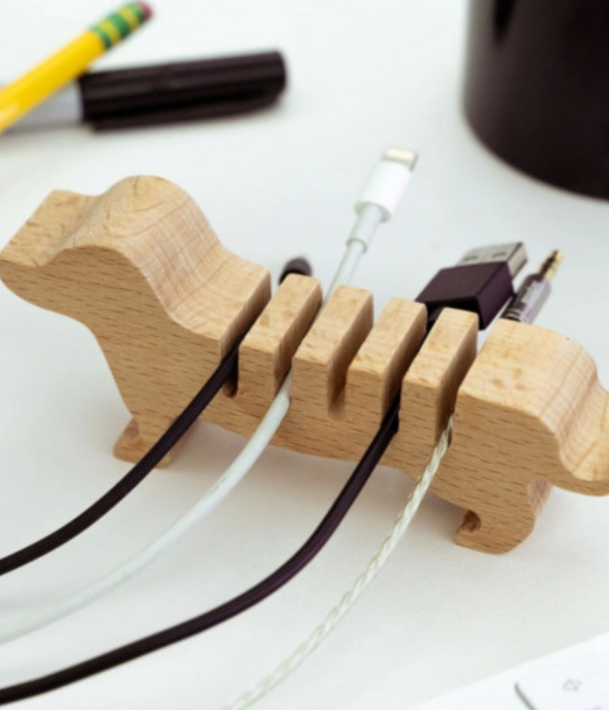 Range-cables - Chien