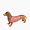 Sculpture Chien teckel "Smockey" - Rayé Bleu/Rouge