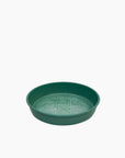PLATEAU MOLITOR -18CM BB - CELADON