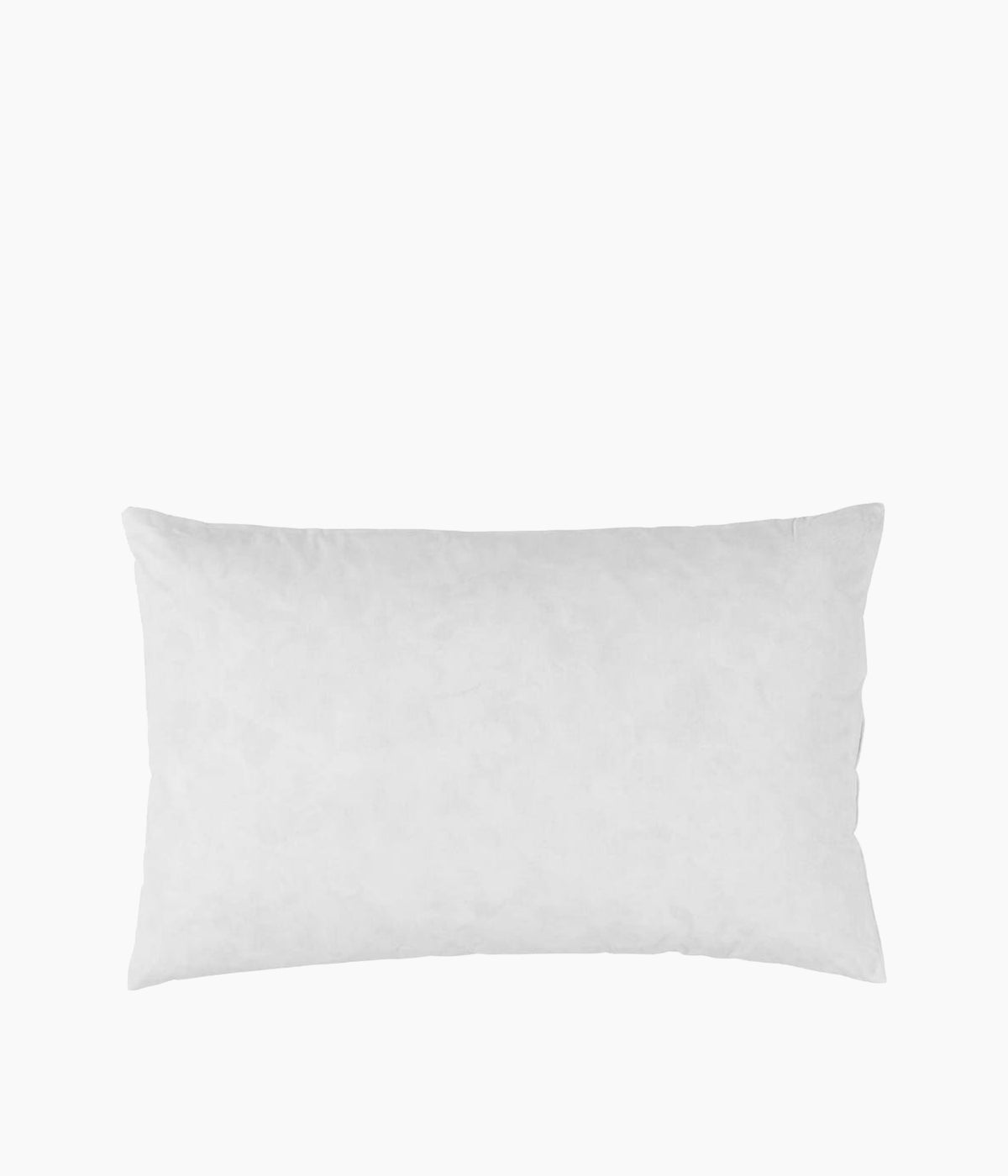 INTERIEUR DE COUSSIN 40 x 60