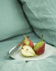 taie oreiller 50*70 celadon